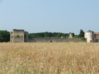 Ruines du Château de Saint-Cricq