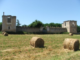 Ruines du Château de Saint-Cricq, Cérons - photo 3