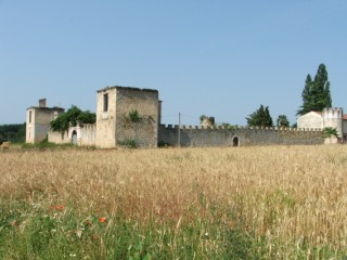 Ruines du Château de Saint-Cricq, Cérons