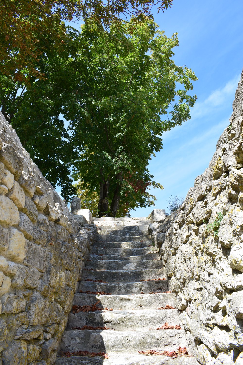 Château de Théobon, Loubès-Bernac - photo 9