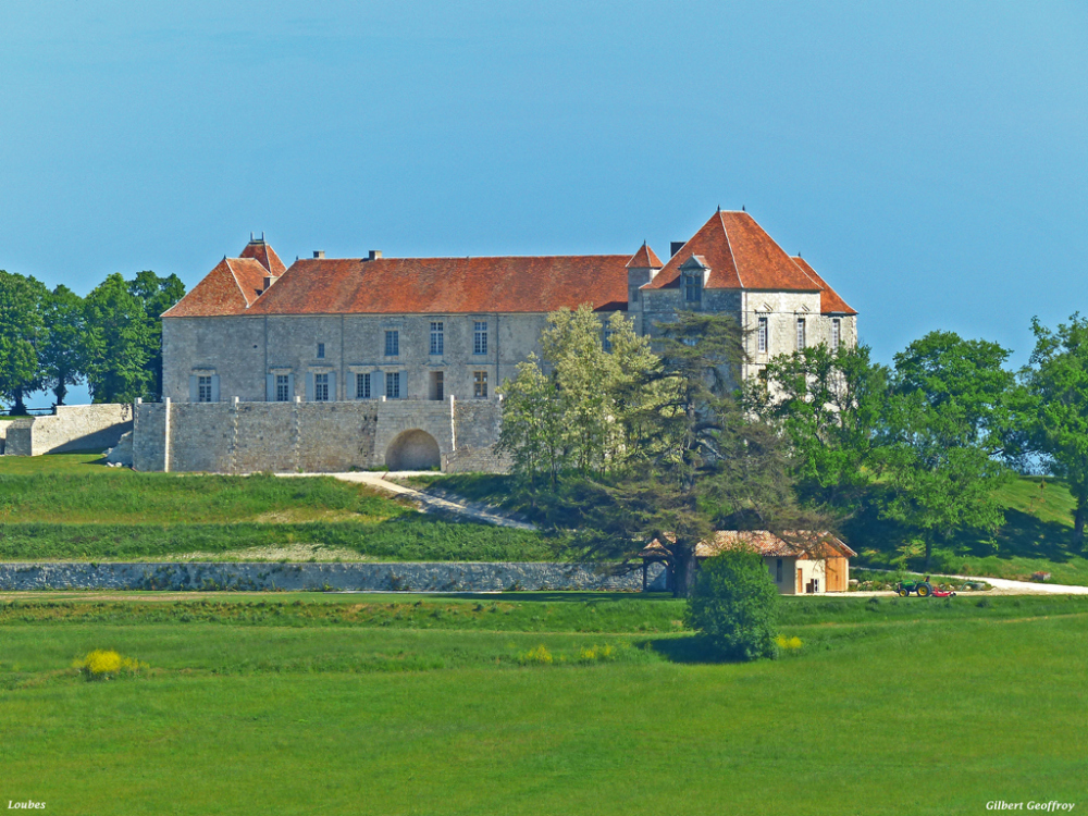 Visite du château de Théobon à Loubès Bernac, Loubès-Bernac - photo 6