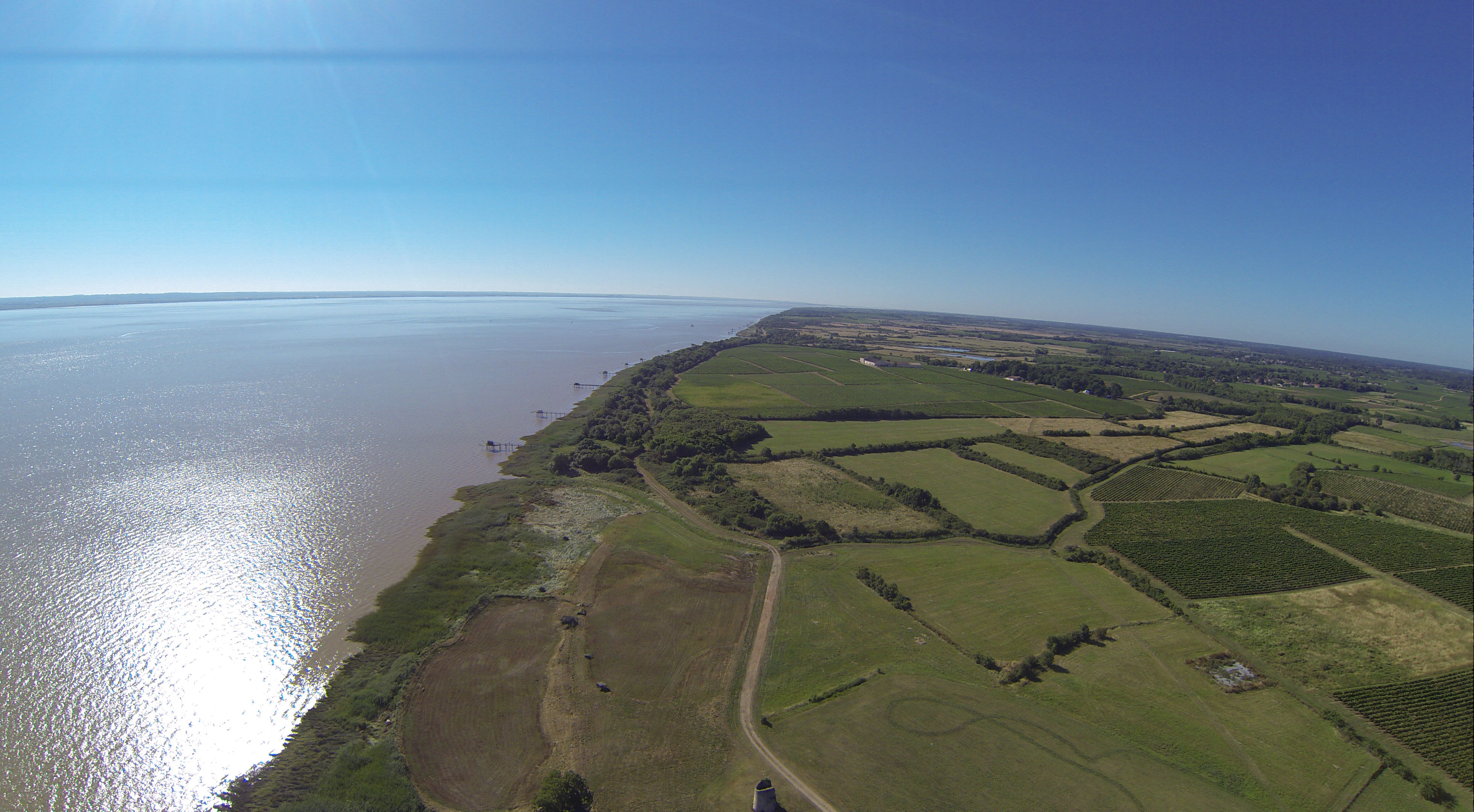 Château Tour Castillon - photo 3