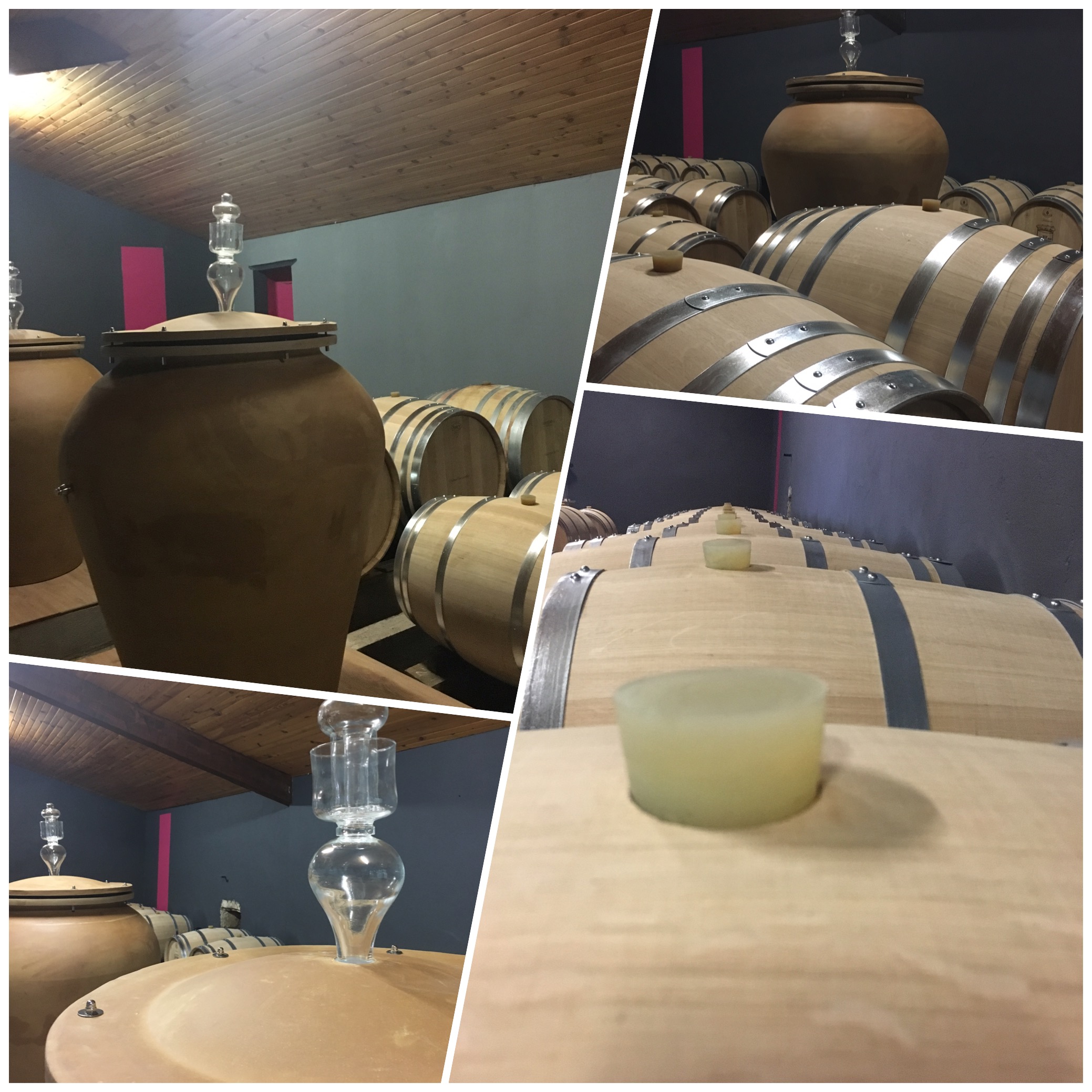 Château Tour Castillon - photo 4