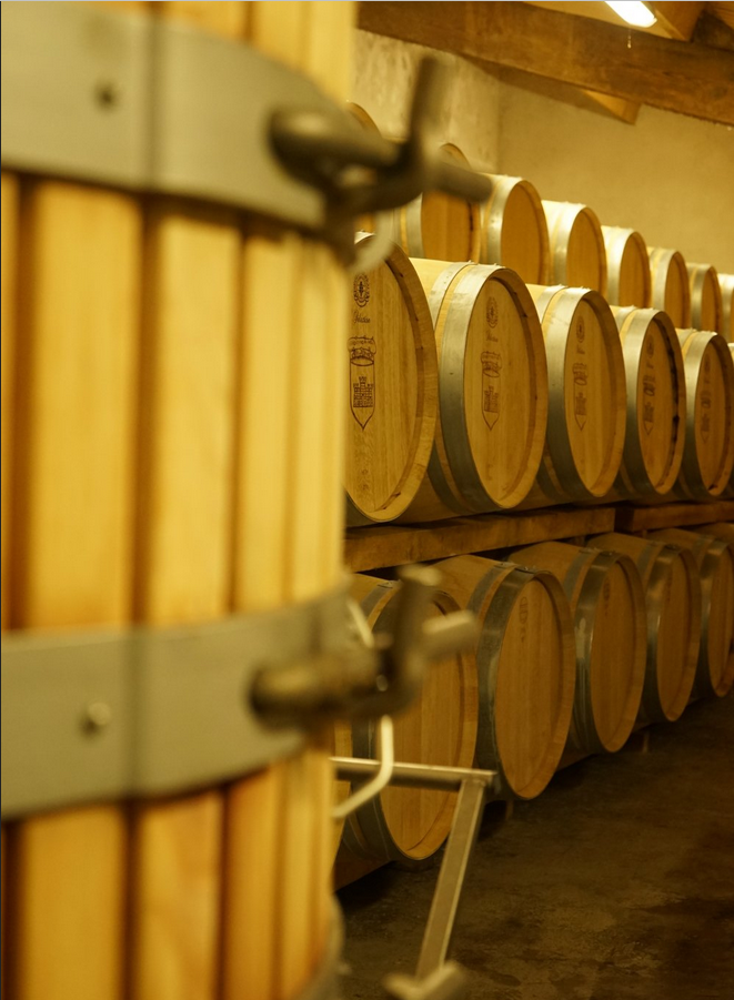 Château Tour Castillon