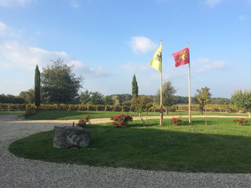 Château Vilatte — photo 3