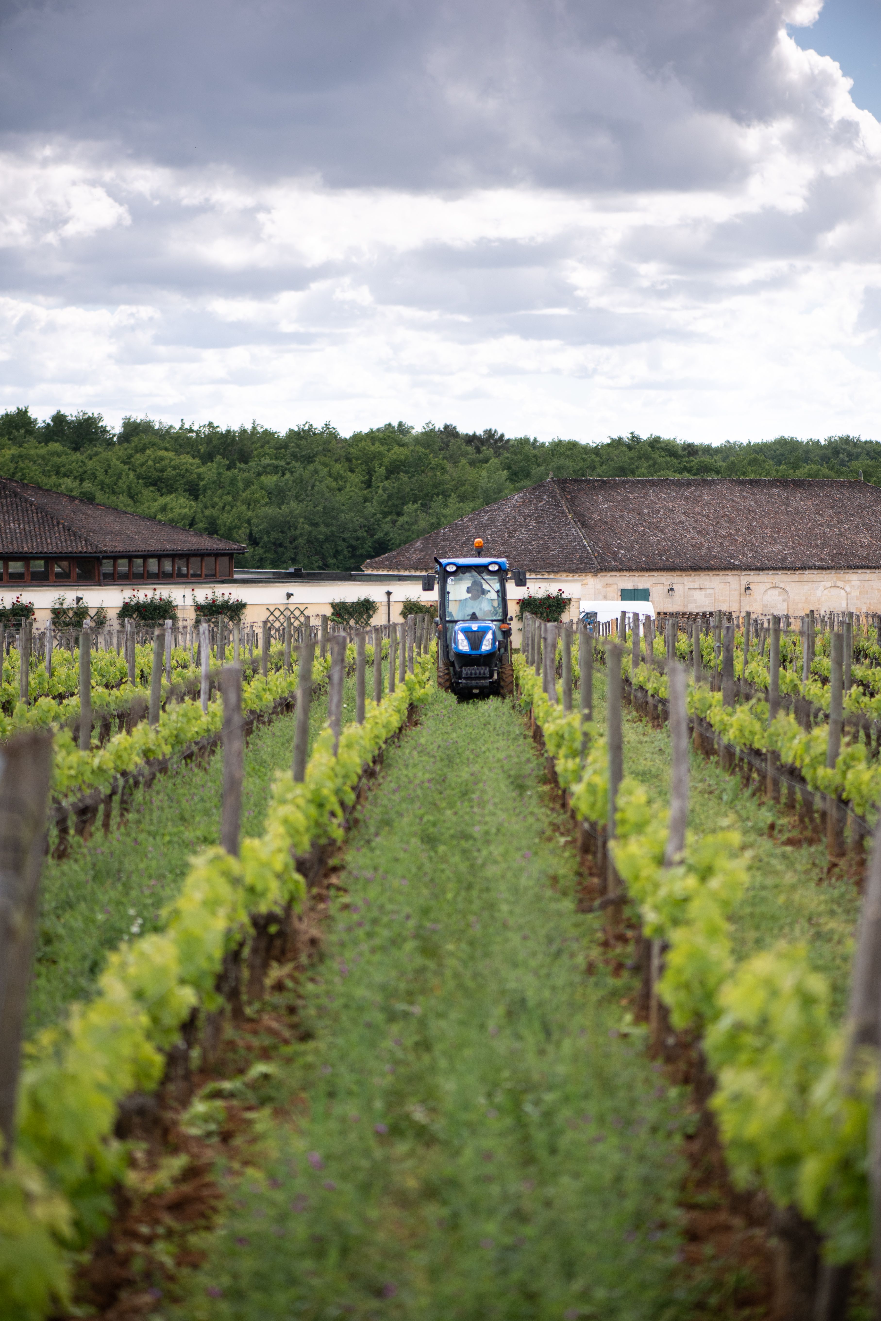 Château d’Aiguilhe, Saint-Philippe-d'Aiguille - photo 14