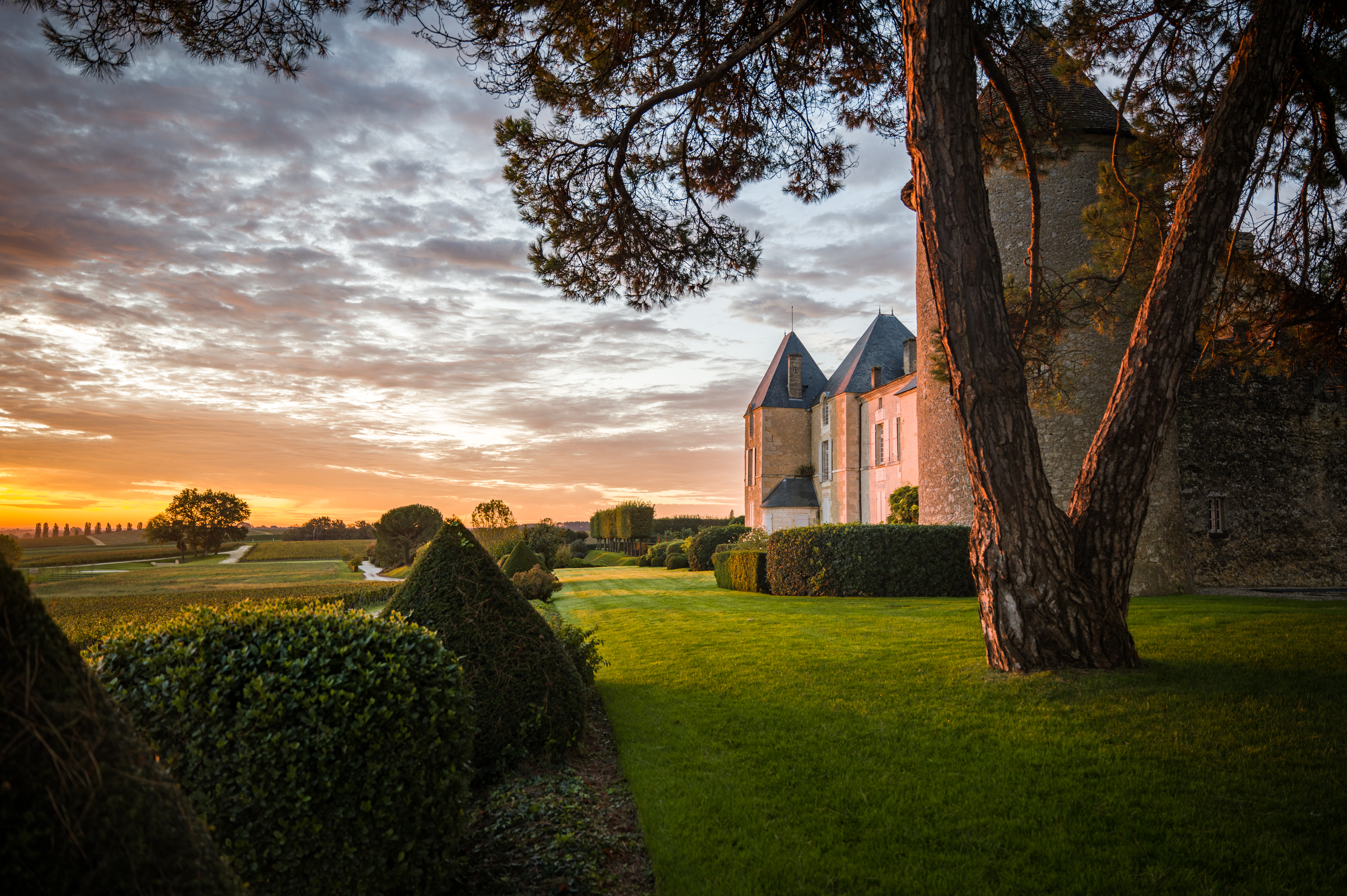 Château d'Yquem
