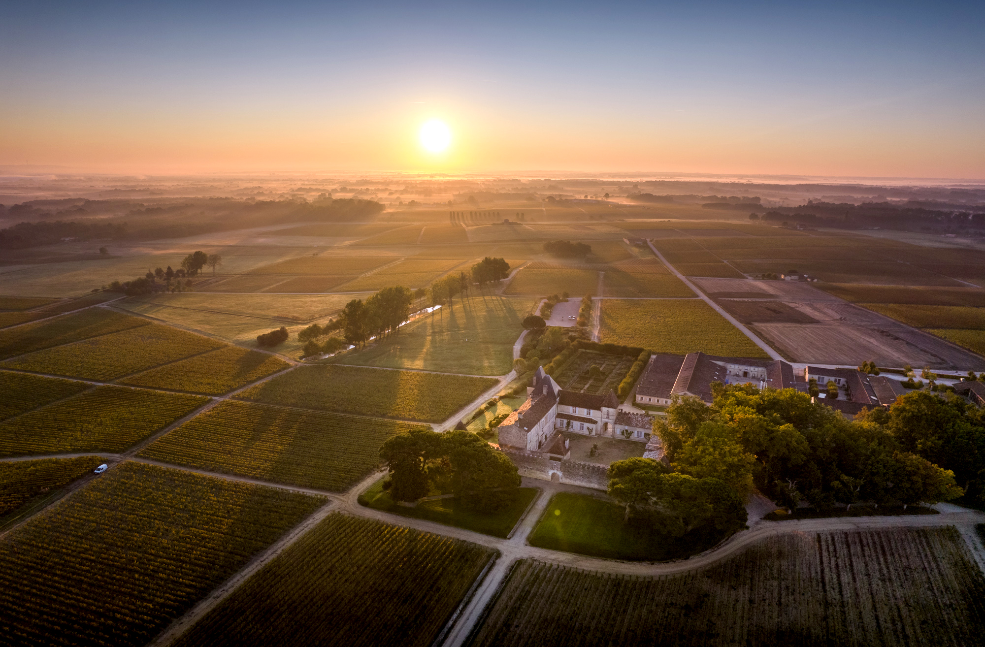 Château d'Yquem — photo 2