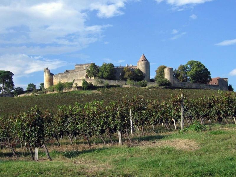 Château de Benauge, Porte-de-Benauge