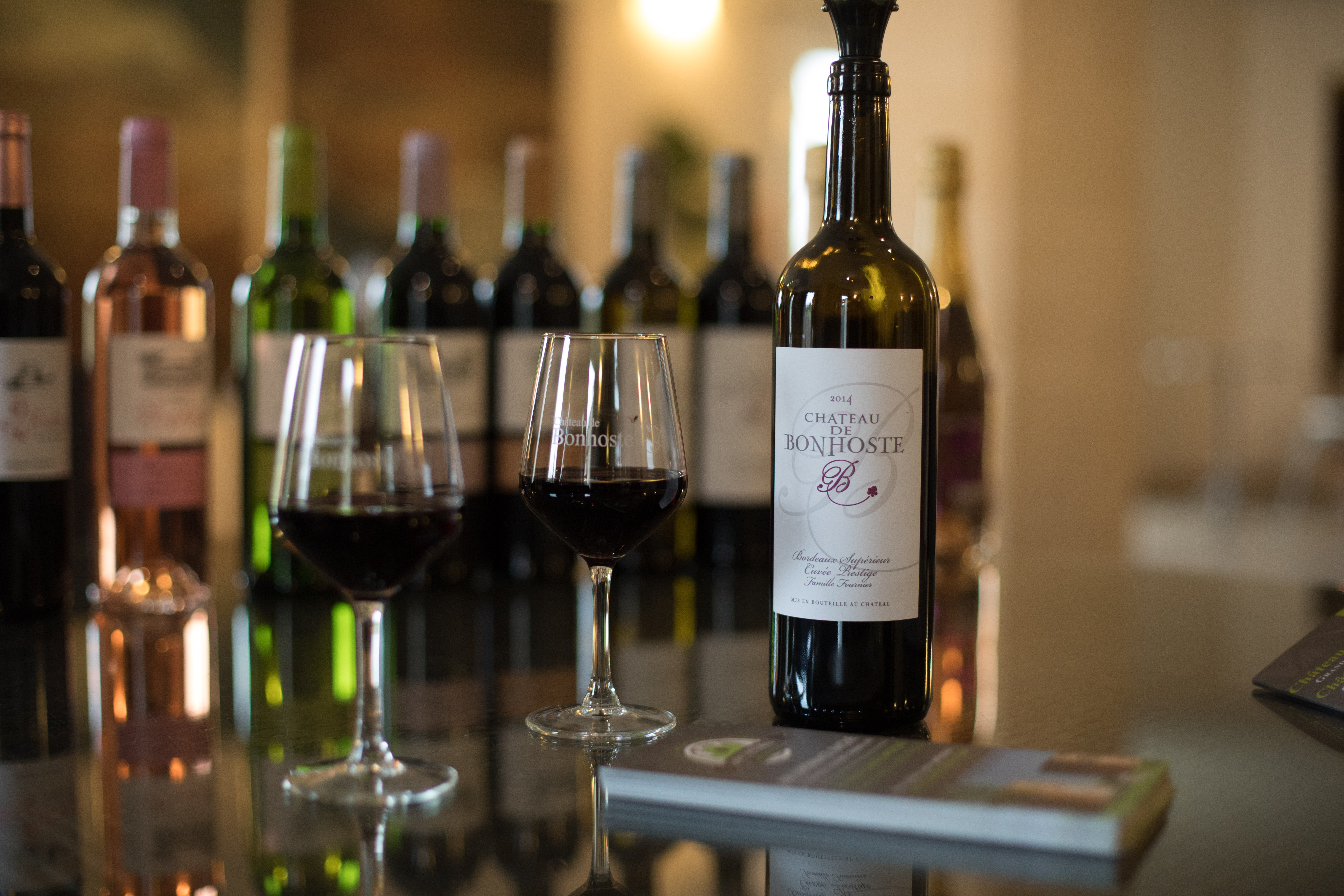 Château de Bonhoste - photo 4