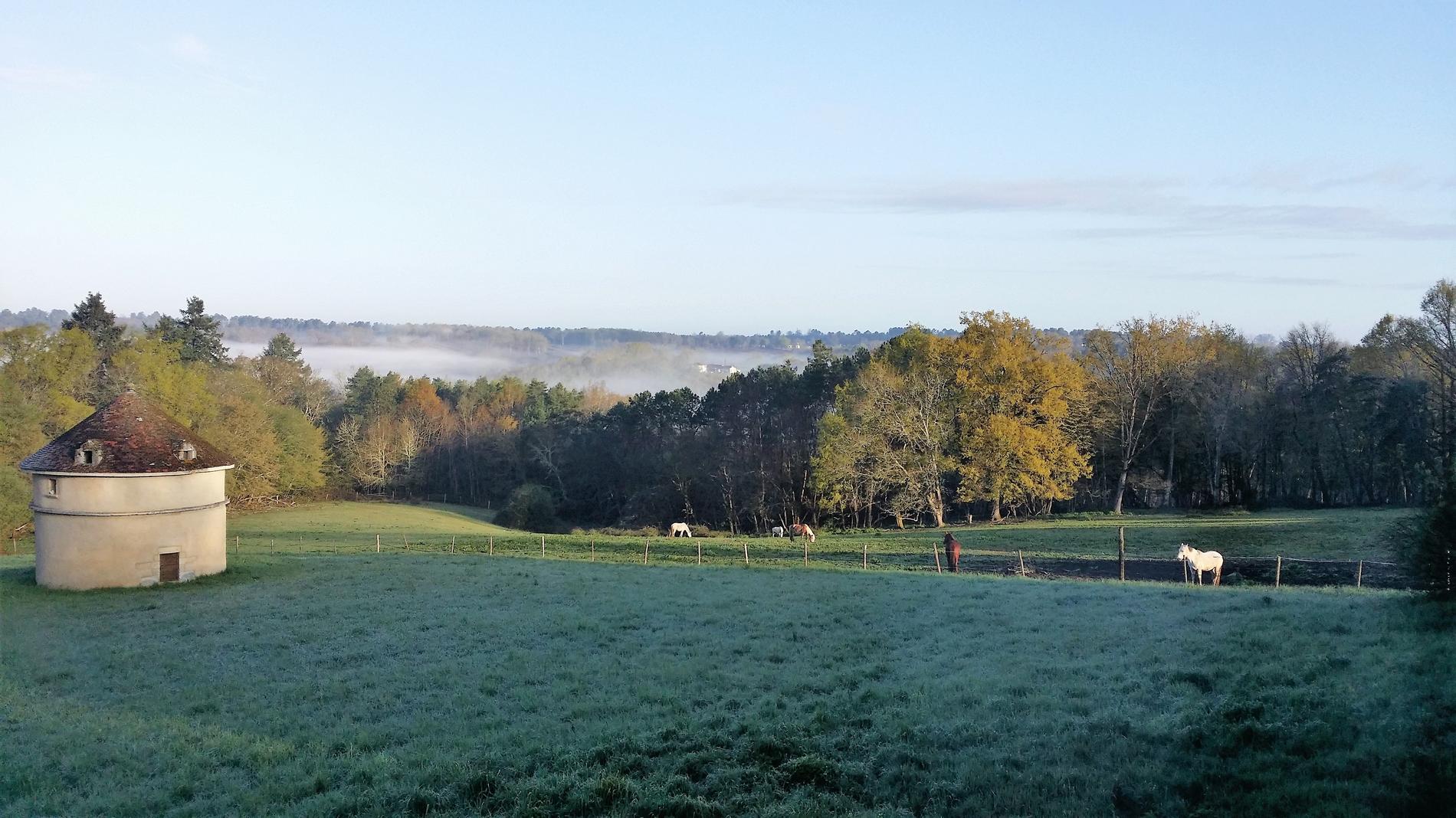 Château de Borie-Petit, Champcevinel - photo 6
