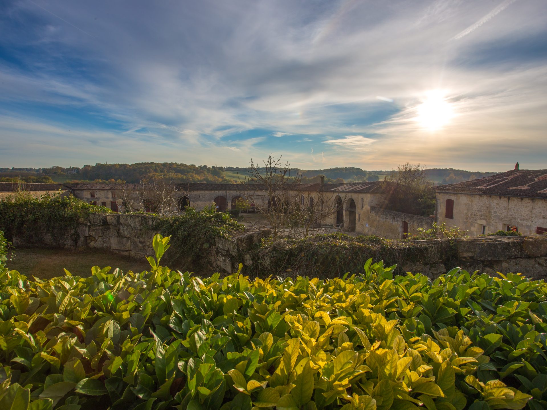 Château de Camarsac, Camarsac - photo 3