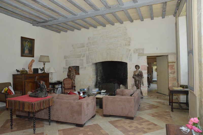 Château de Clauzuroux, Champagne-et-Fontaine - photo 5