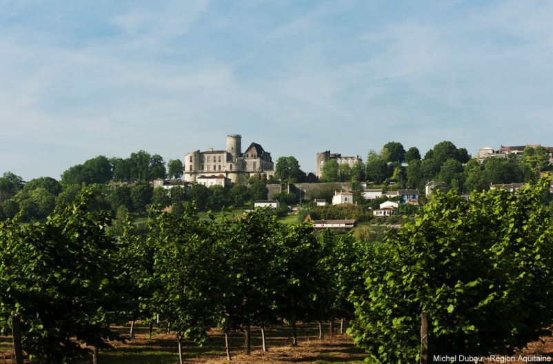 Château de Duras - Château des Ducs, Duras - photo 5