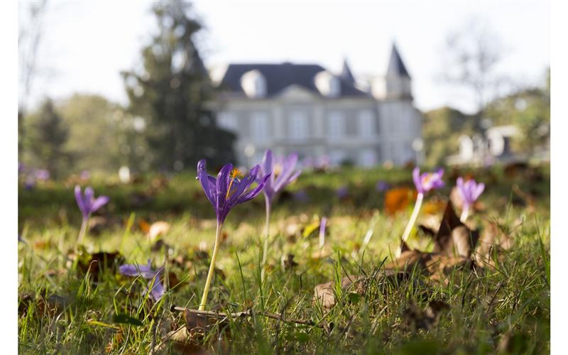 Château de Franqueville