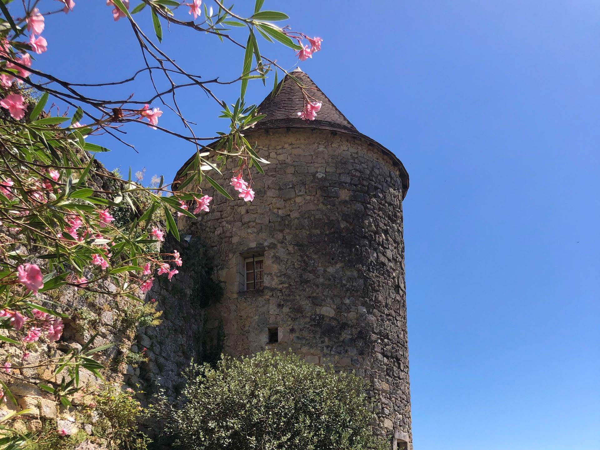 Château de Langoiran, Langoiran - photo 6