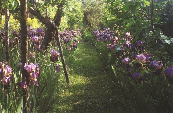 Les Jardins du Château de Mongenan, Portets - photo 6