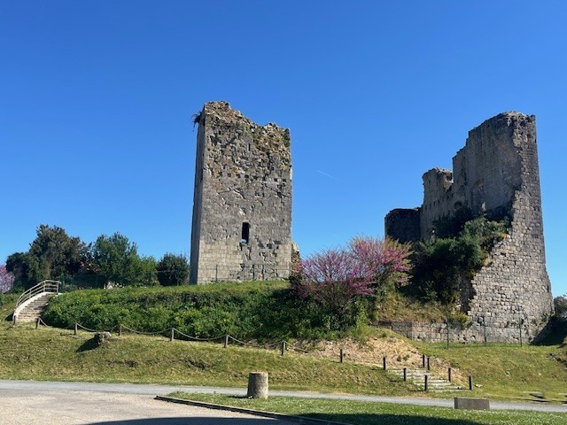 Conférence autour du château de Montgaillard — visuel événement