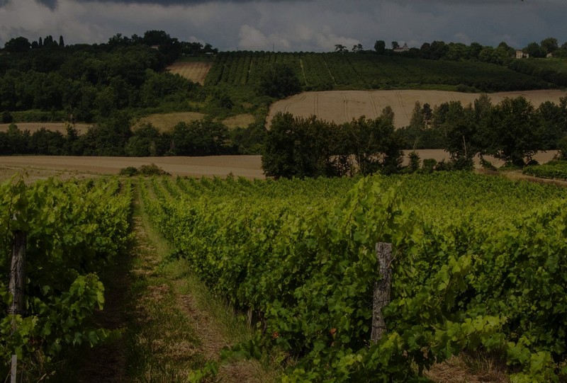 Château de Salles - photo 2