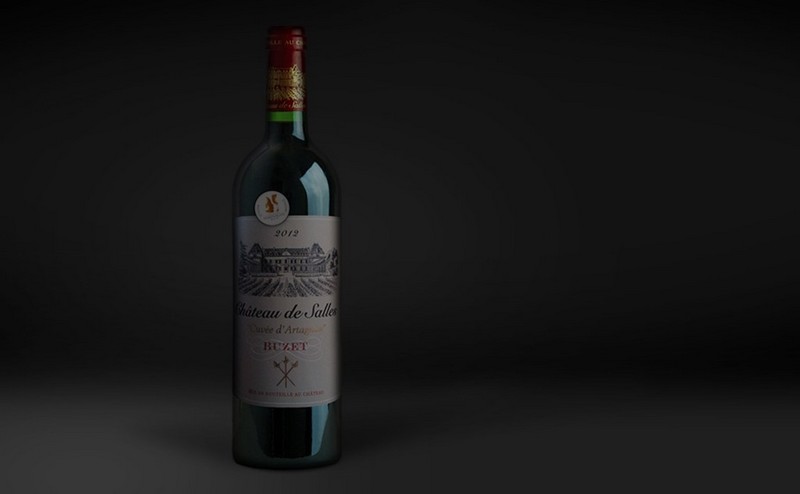 Château de Salles - photo 4