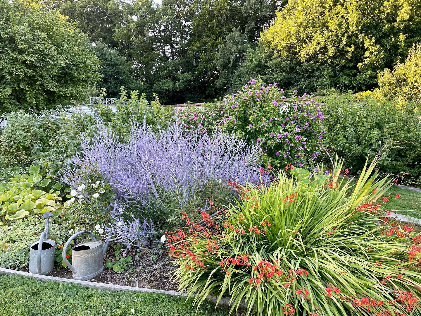 Château de Salvanet, Saint-Priest-Taurion - photo 2