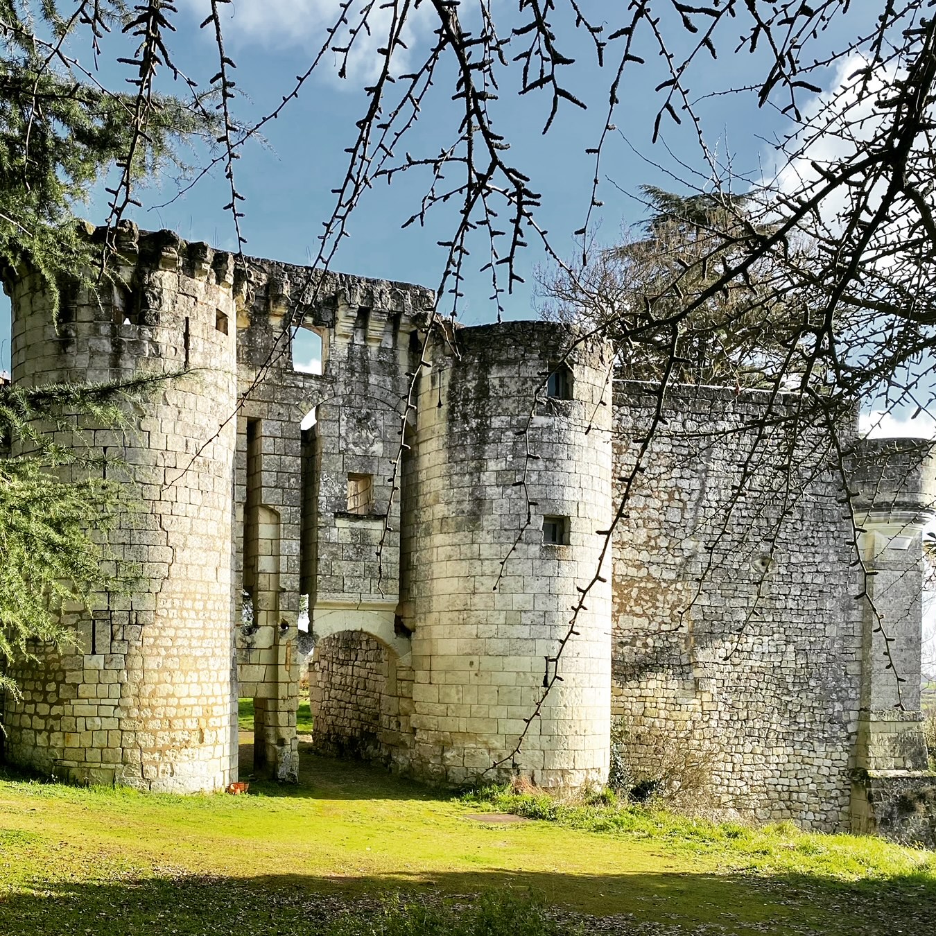Château de la Roche-Martel, Roiffé - photo 2
