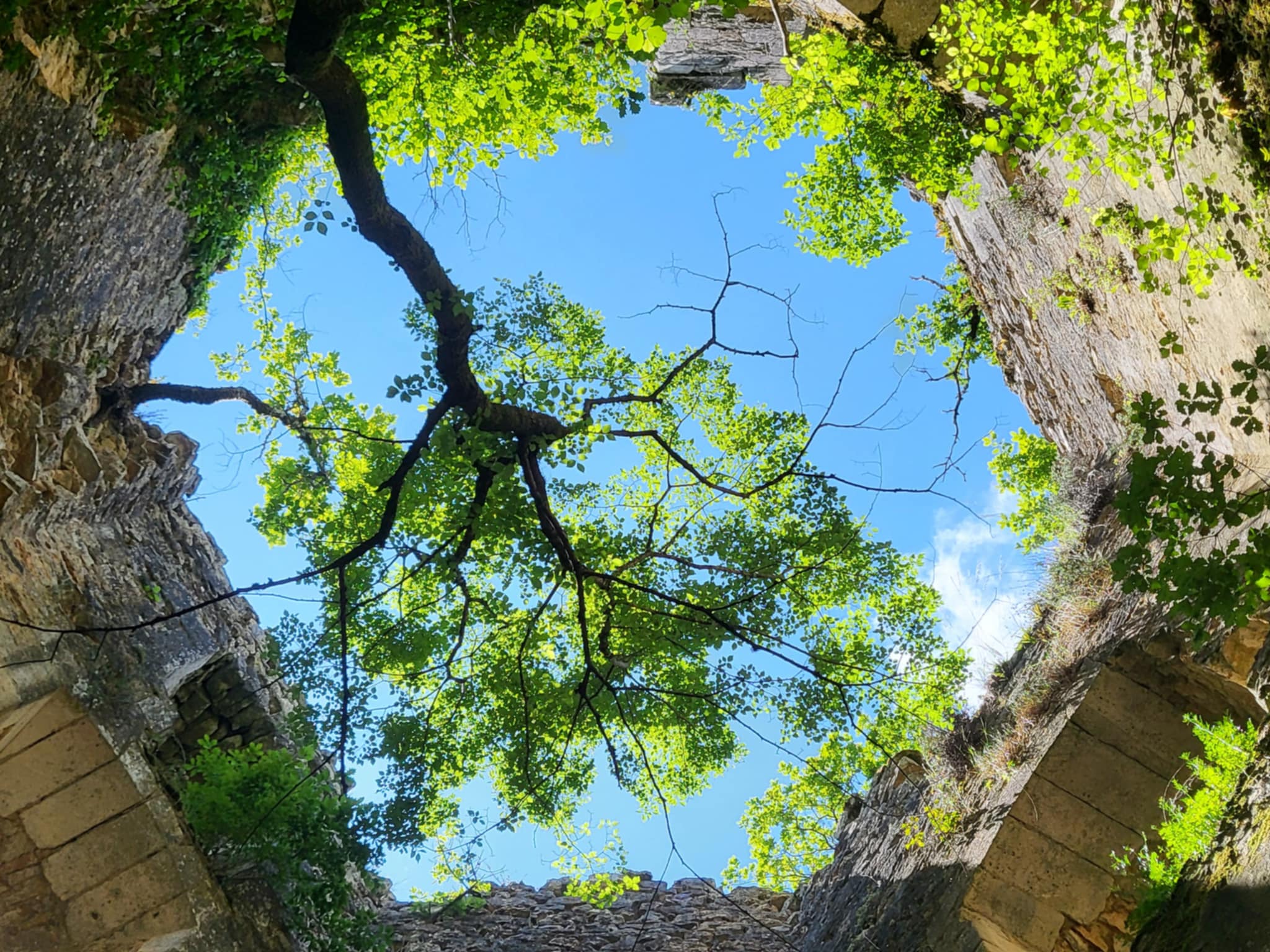 Animations au château de La Renaudie