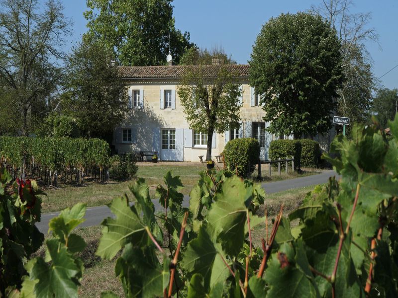 Château des Moines