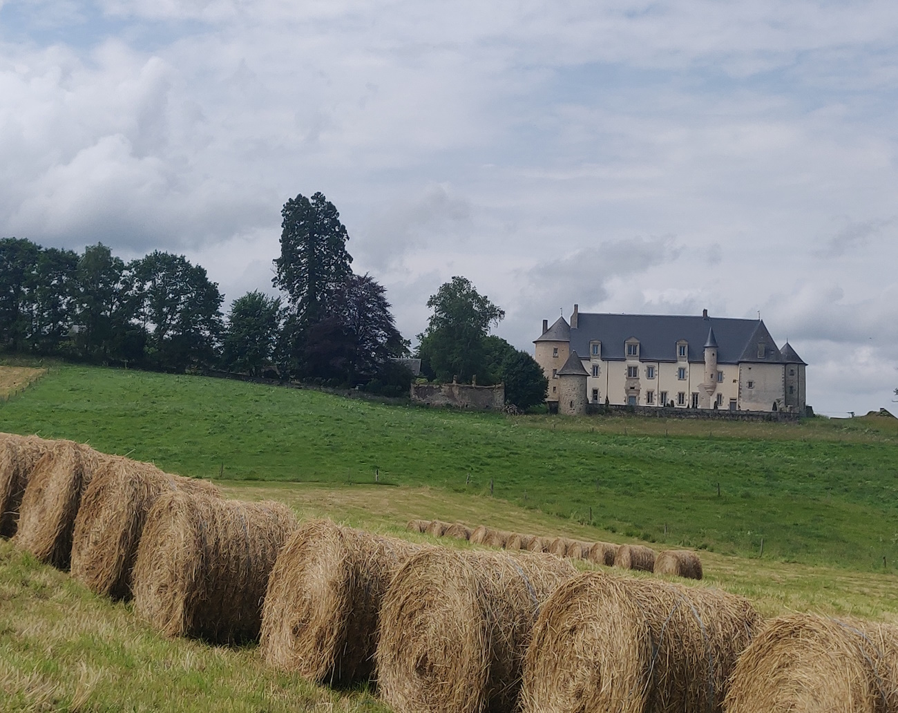 Visite guidée - Château du Chambon, Bersac-sur-Rivalier - photo 4