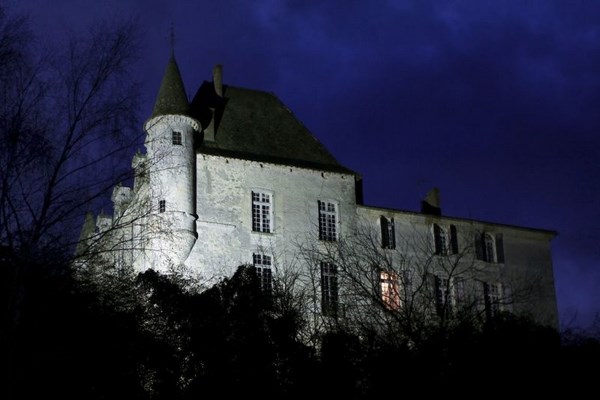 Château du Hamel, Castets et Castillon - photo 2
