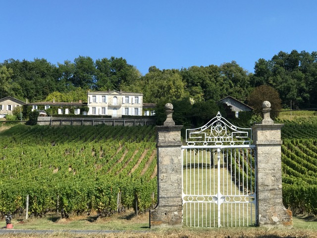 Château du Pavillon - photo 2