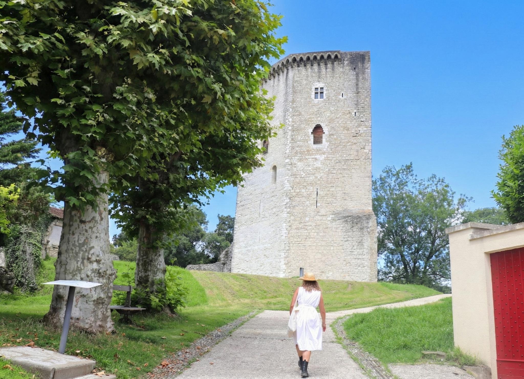 Le Château Moncade, Orthez - photo 18