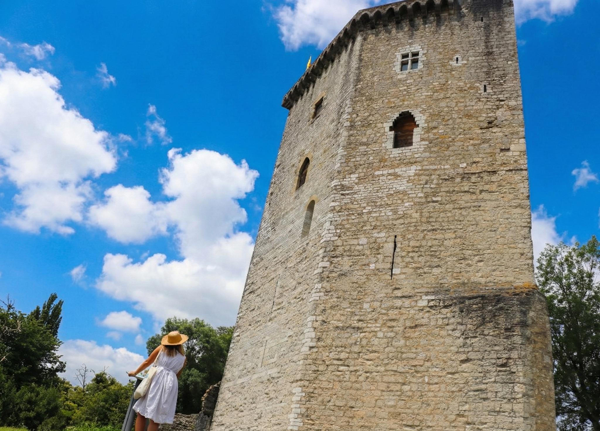 Le Château Moncade, Orthez - photo 37