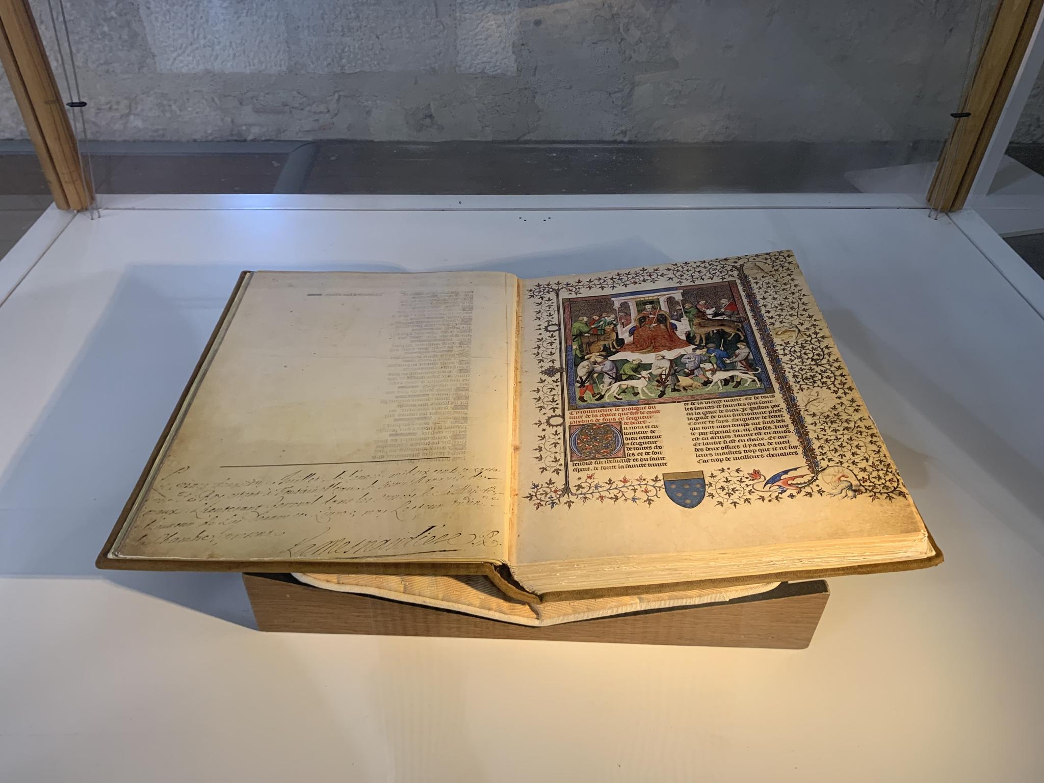 Le Château Moncade, Orthez - photo 32
