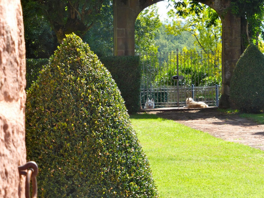 Château de Marsac, Meyssac - photo 28