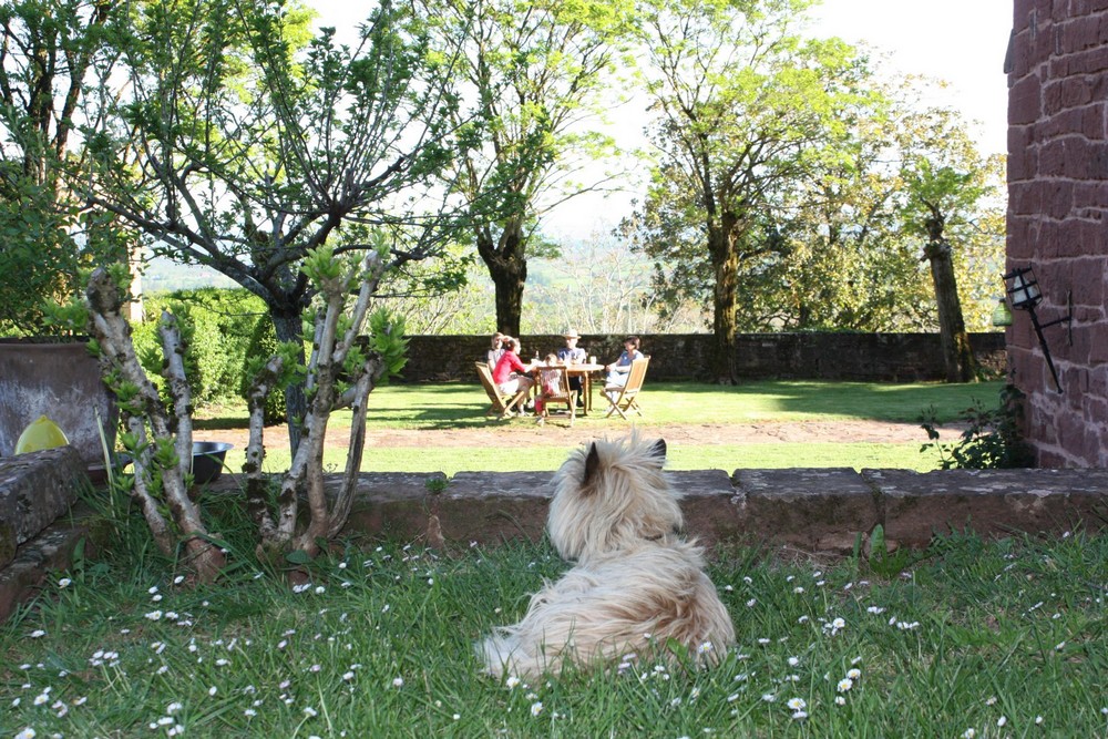Château de Marsac, Meyssac - photo 23