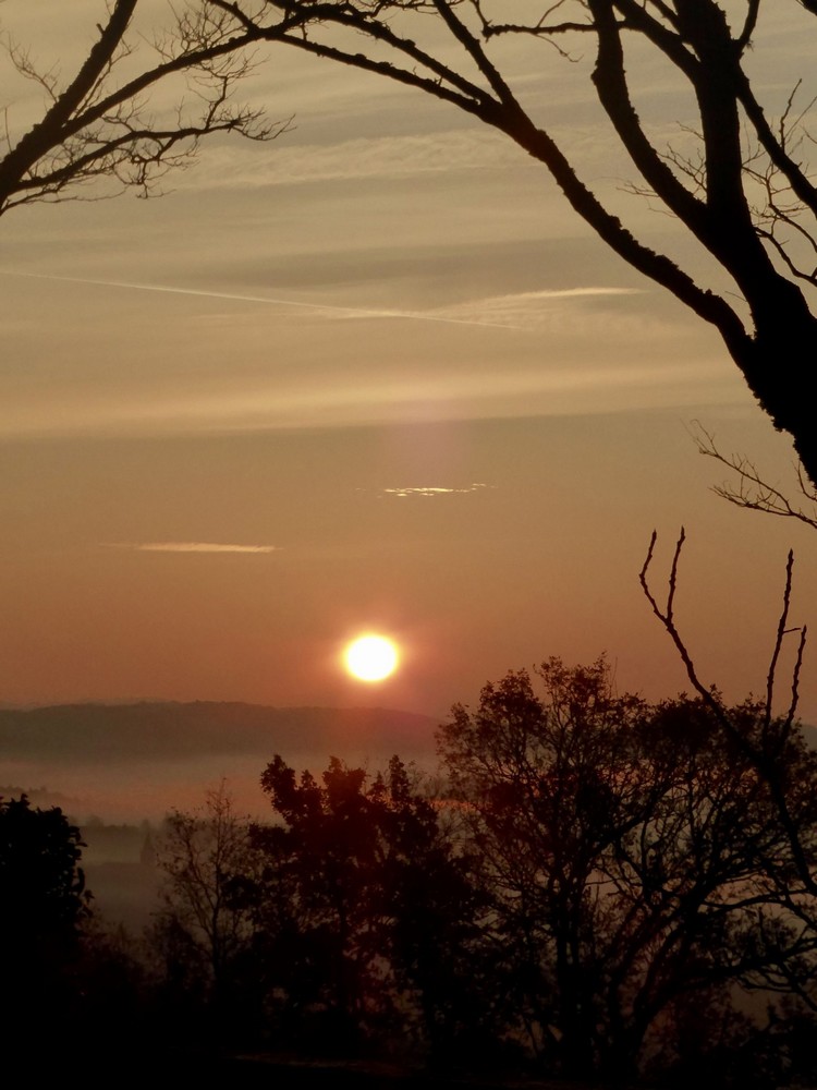 Château de Marsac, Meyssac - photo 19