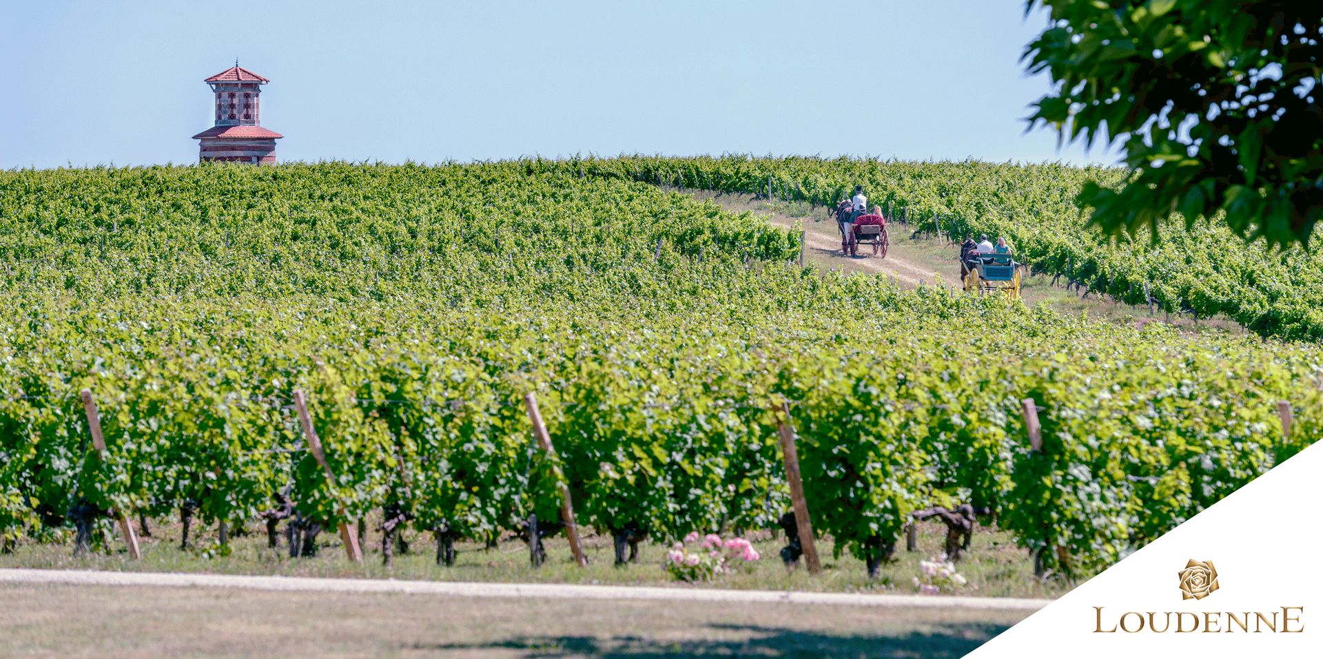 Château Loudenne - photo 2