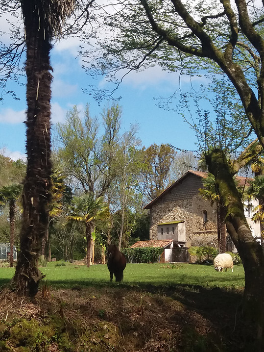 Château Saint Martin - photo 4