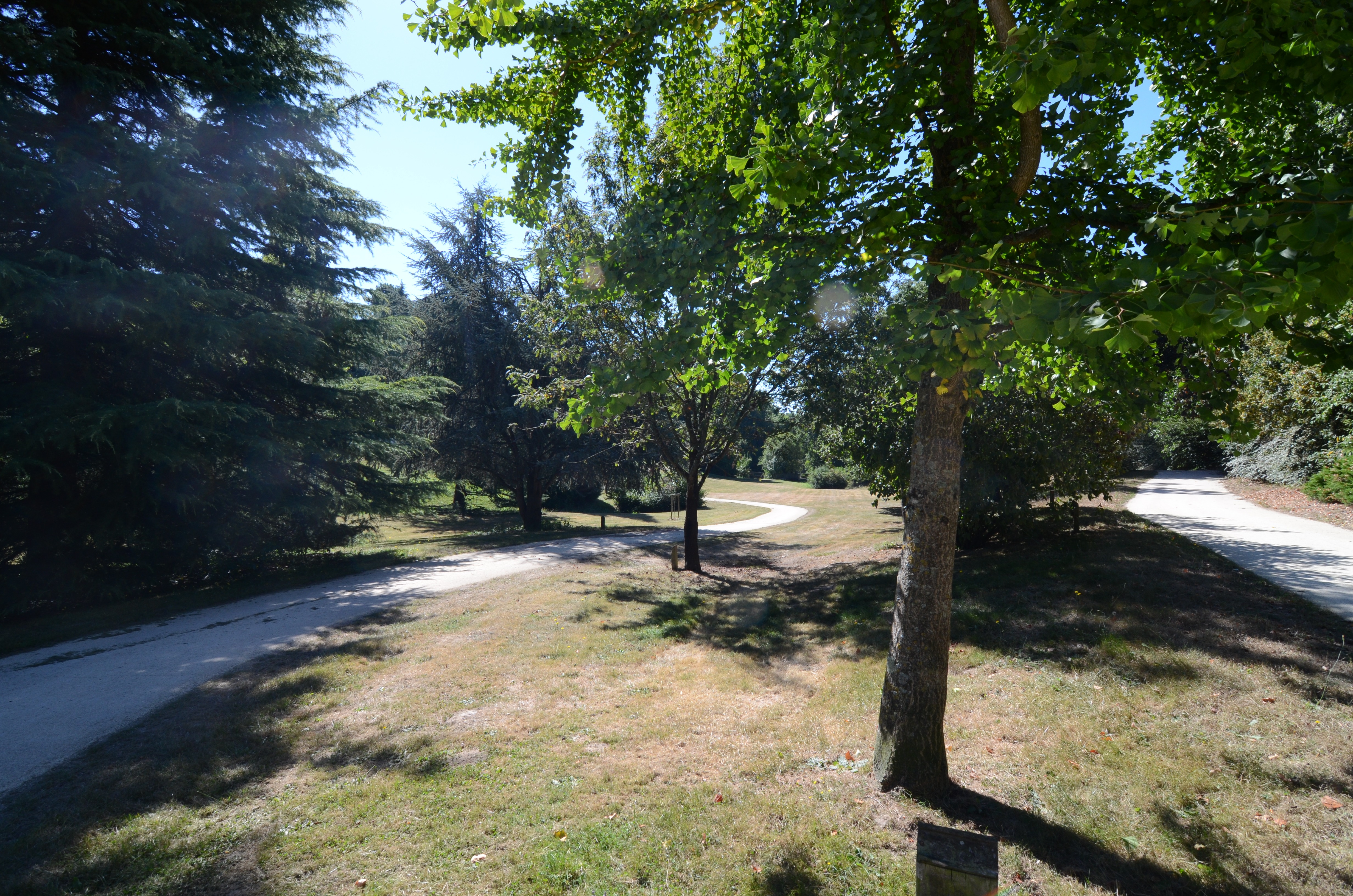 L'endurance, Parthenay - photo 4