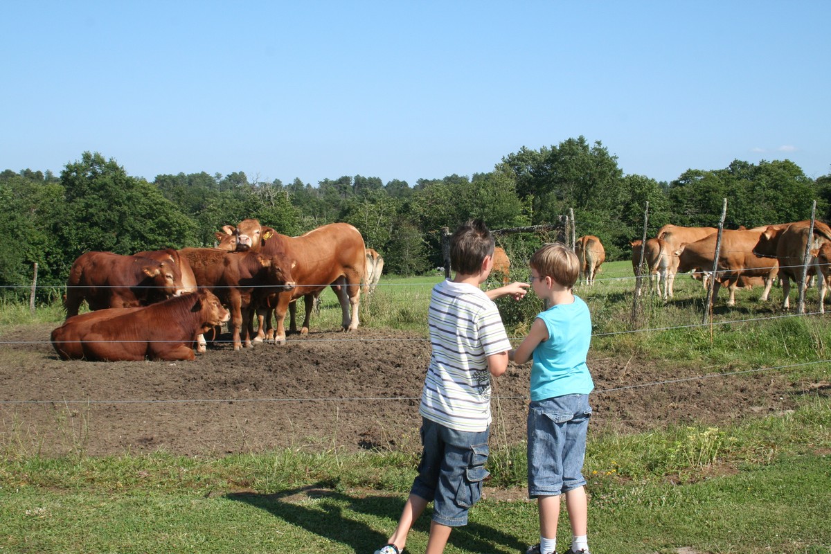 Ferme pédagogique du Domaine des Chaulnes