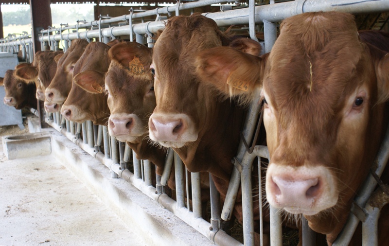 Domaine des Chaulnes - photo 2