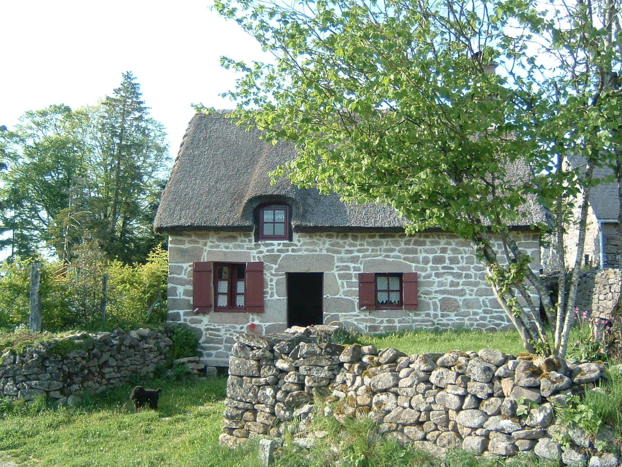 Sentier de Millevaches aux Oussines - 13 km — photo 3