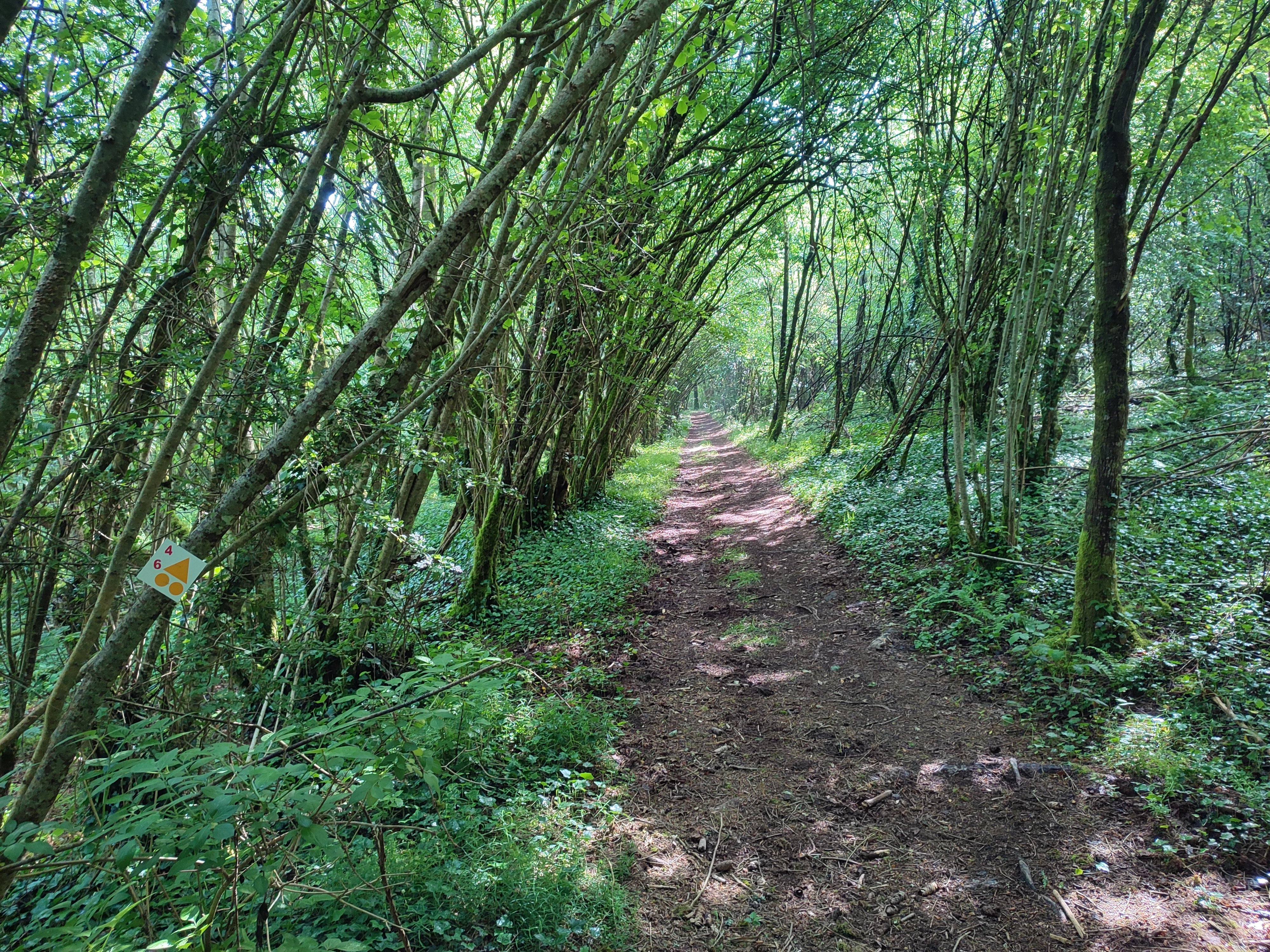 Circuit VTT n°4 De Champnétery aux monts d’Auriat, Champnétery