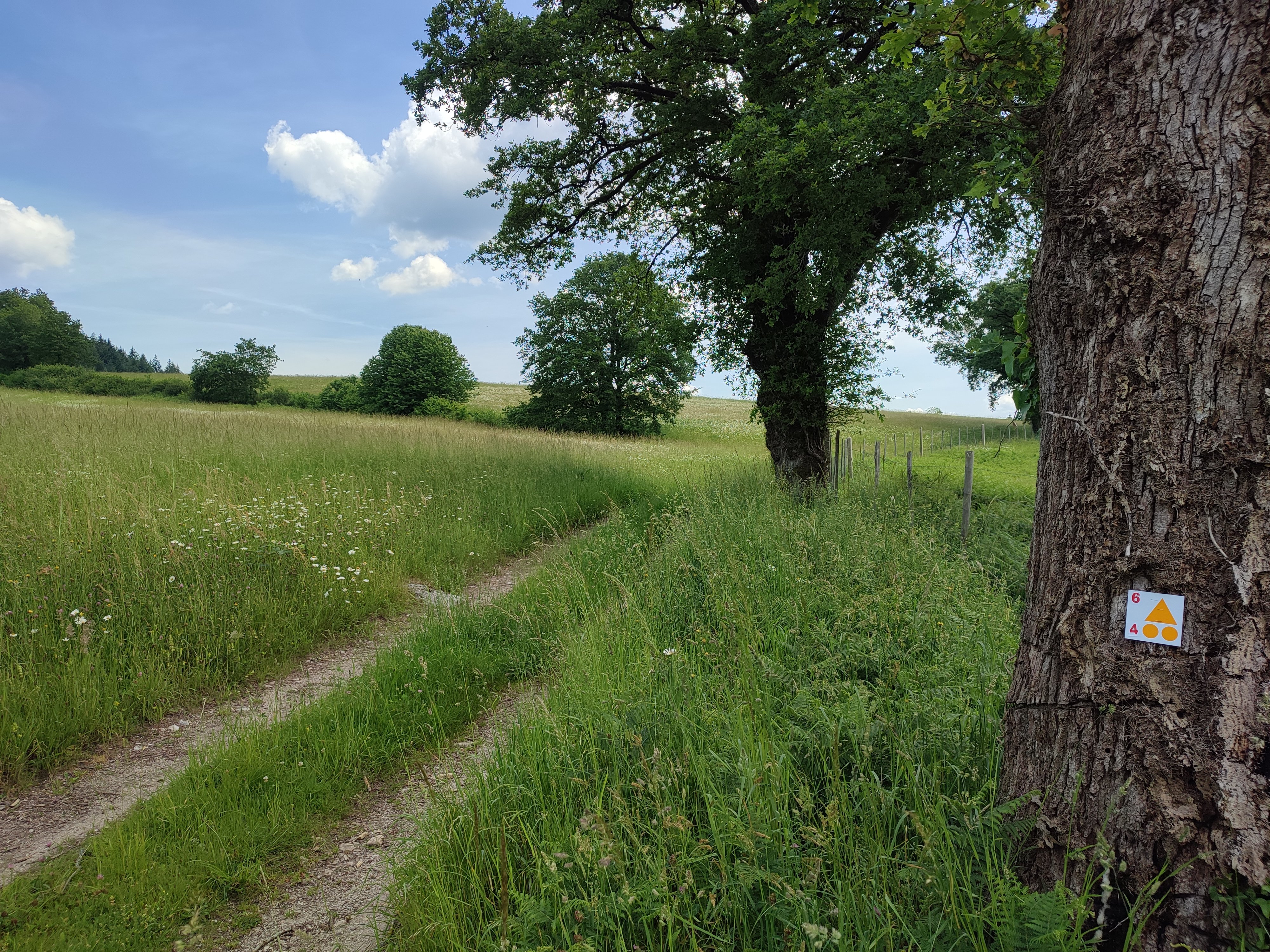 Circuit VTT n°6 Autour des monts d’Auriat, Champnétery - photo 6
