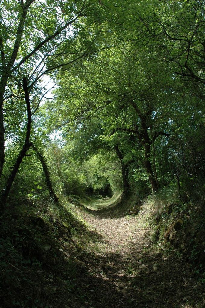 La Grande Boucle du Parc : Etape 4 : De Champniers-Reilhac aux Salles-Lavauguyon