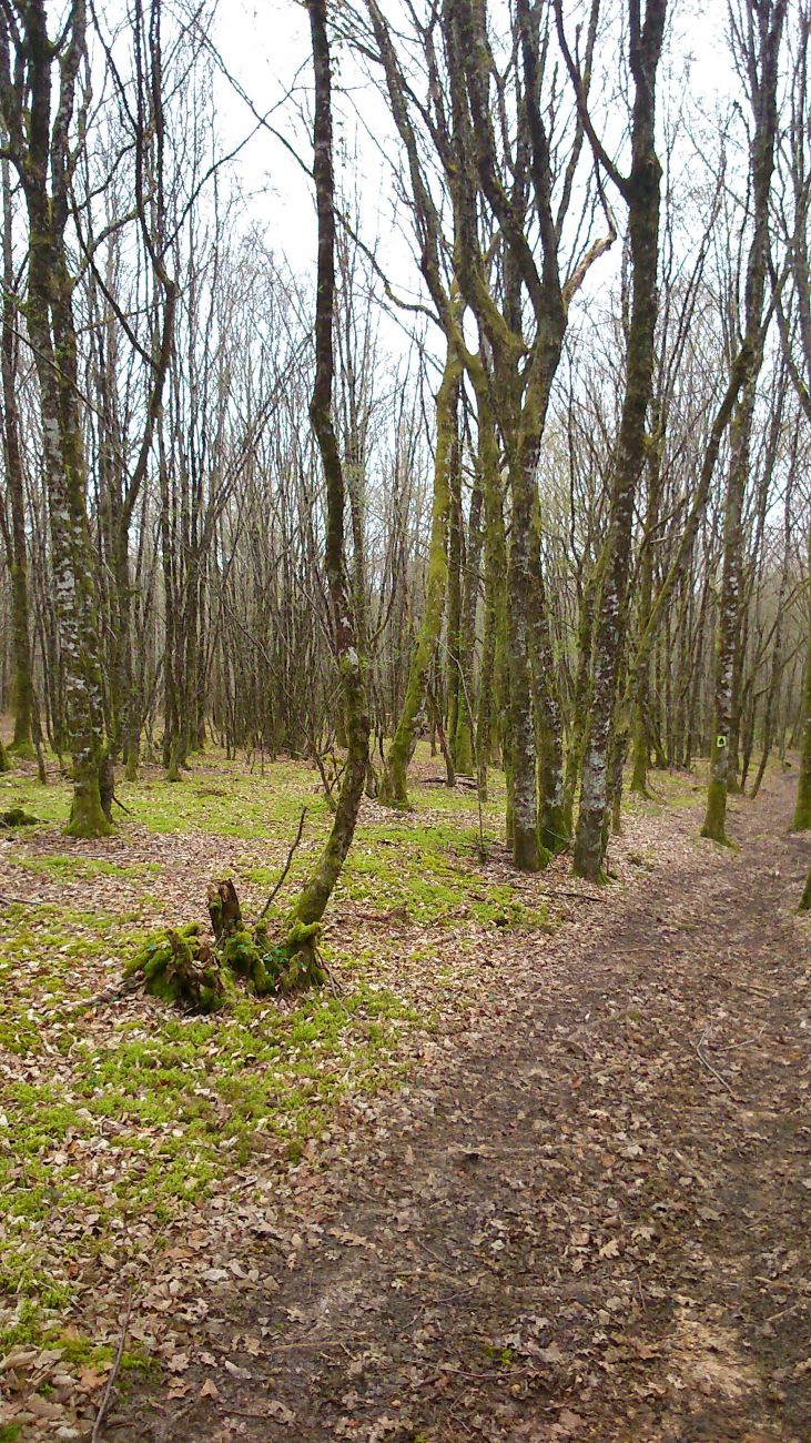 Boucle de la Fontaine de Ladoux à Tourtoirac - photo 3