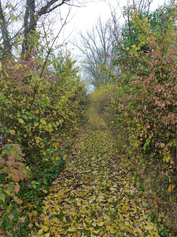 Chemin après le passage