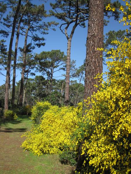 Réservoirs de Piraillan, Lège-Cap-Ferret - photo 3