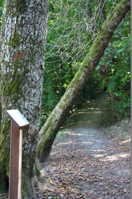 Chapelle des Bois, Saint-Astier